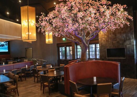 Okura Restaurant cherry blossom tree